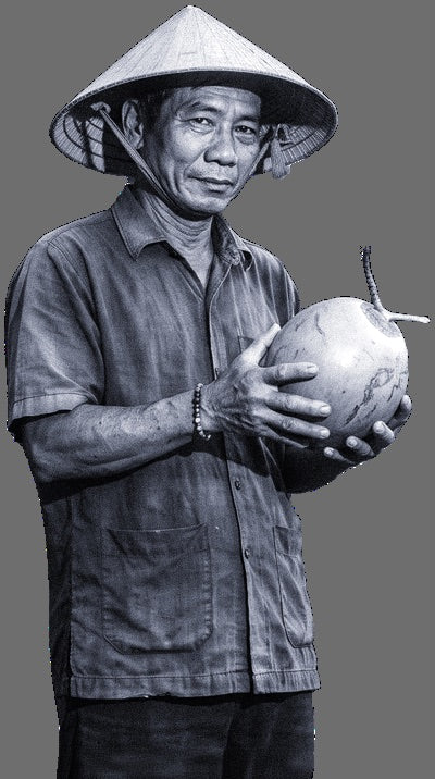 A coconut farmer in a conical hat holding a fresh coconut in a Vietnamese palm grove