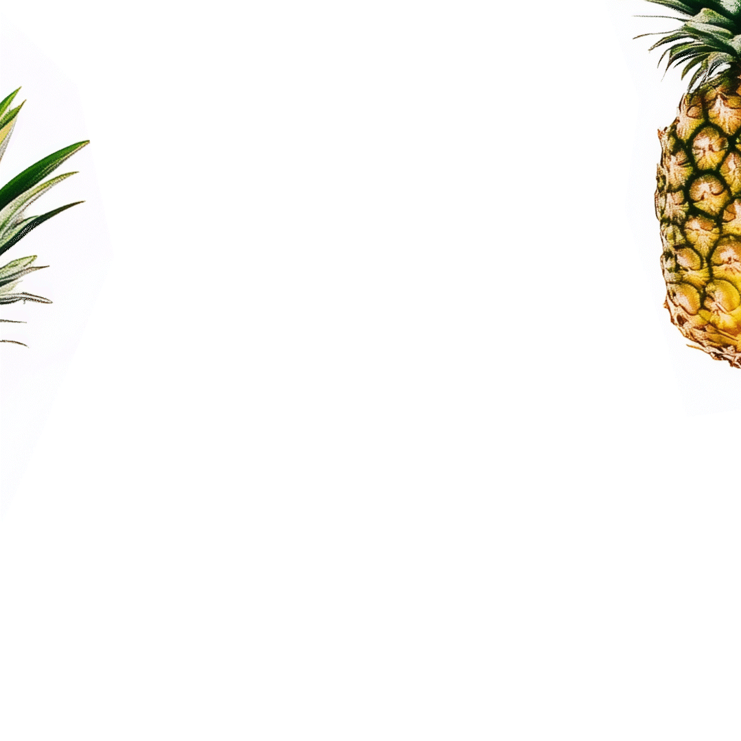 Pineapple - 16.5 fl.oz.